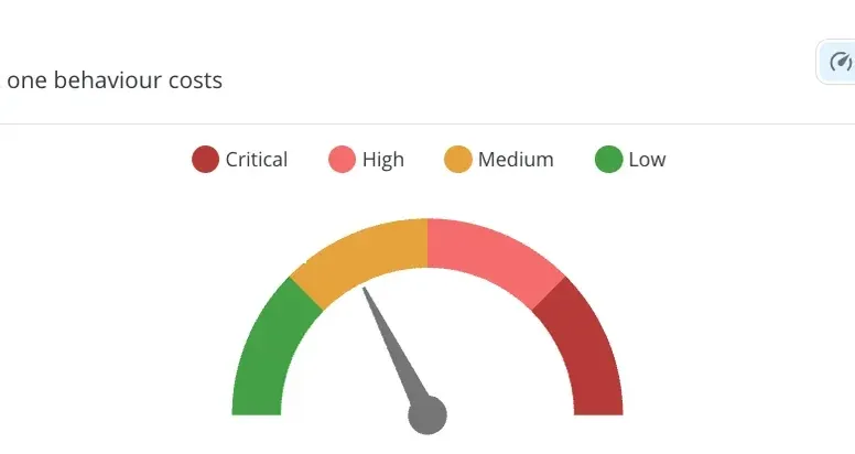 Behaviour weight gauge: where the organisation sits across the Low, Medium, High and Critical bands.