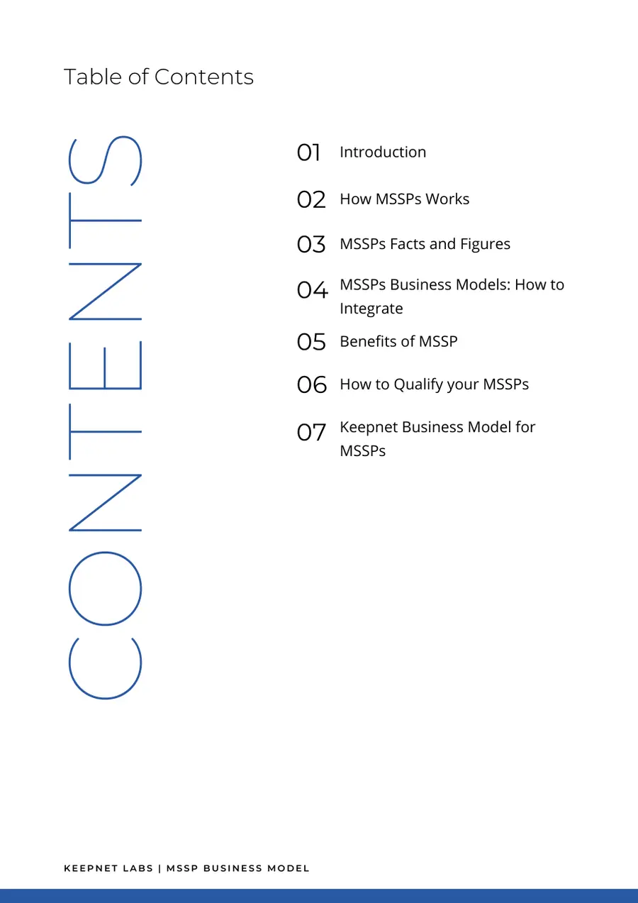 MSSP Business Model, page 2 of 11